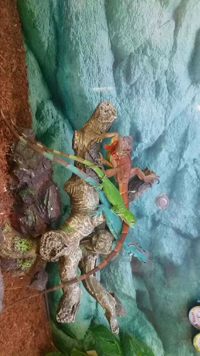 Pet Supply Store «Petco Animal Supplies», reviews and photos, 1370 Holiday Ln a, Fairfield, CA 94533, USA