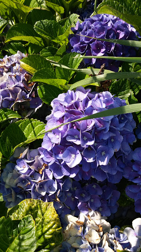 Tourist Attraction «NatureScaping Wildlife Botanical Gardens», reviews and photos, 11000 NE 149th St, Brush Prairie, WA 98606, USA