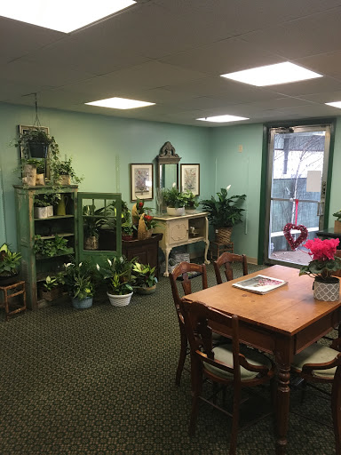 Florist «Marzi Florist Inc», reviews and photos, 33 Fern St, New Britain, CT 06053, USA