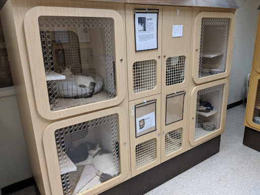 Pet Supply Store «Petco Animal Supplies», reviews and photos, 3284 Jefferson St, Napa, CA 94558, USA