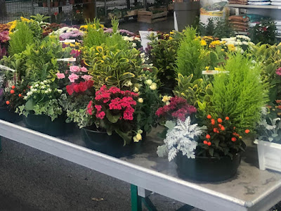 Jardinerie Coulange à Bollène