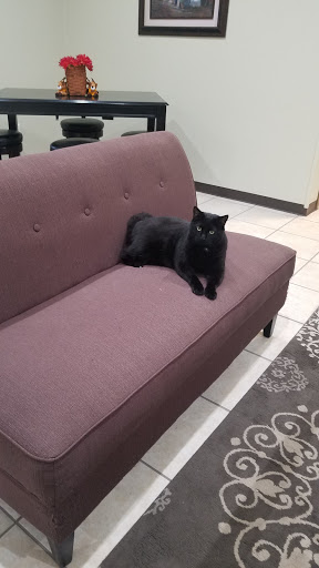 Auto Body Shop «Choice Collision Center», reviews and photos, 237 Oregon St, Mercersburg, PA 17236, USA