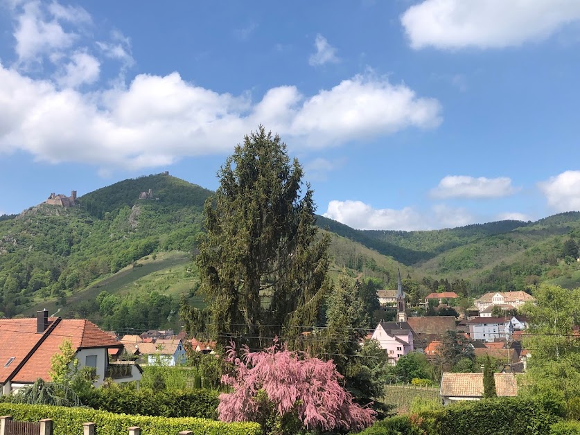 ART&BRETZEL RIBEAUVILLE à Ribeauvillé (Haut-Rhin 68)