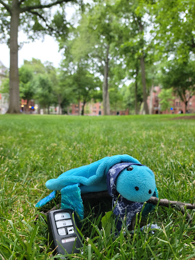 Monument «John Harvard Statue», reviews and photos, 1 Harvard Bus Tunnel, Cambridge, MA 02138, USA