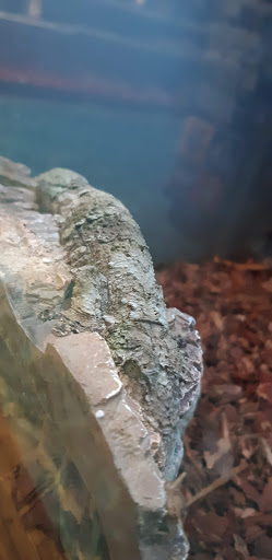 Pet Supply Store «Petco Animal Supplies», reviews and photos, 200 McMahan Blvd, Marion, OH 43302, USA