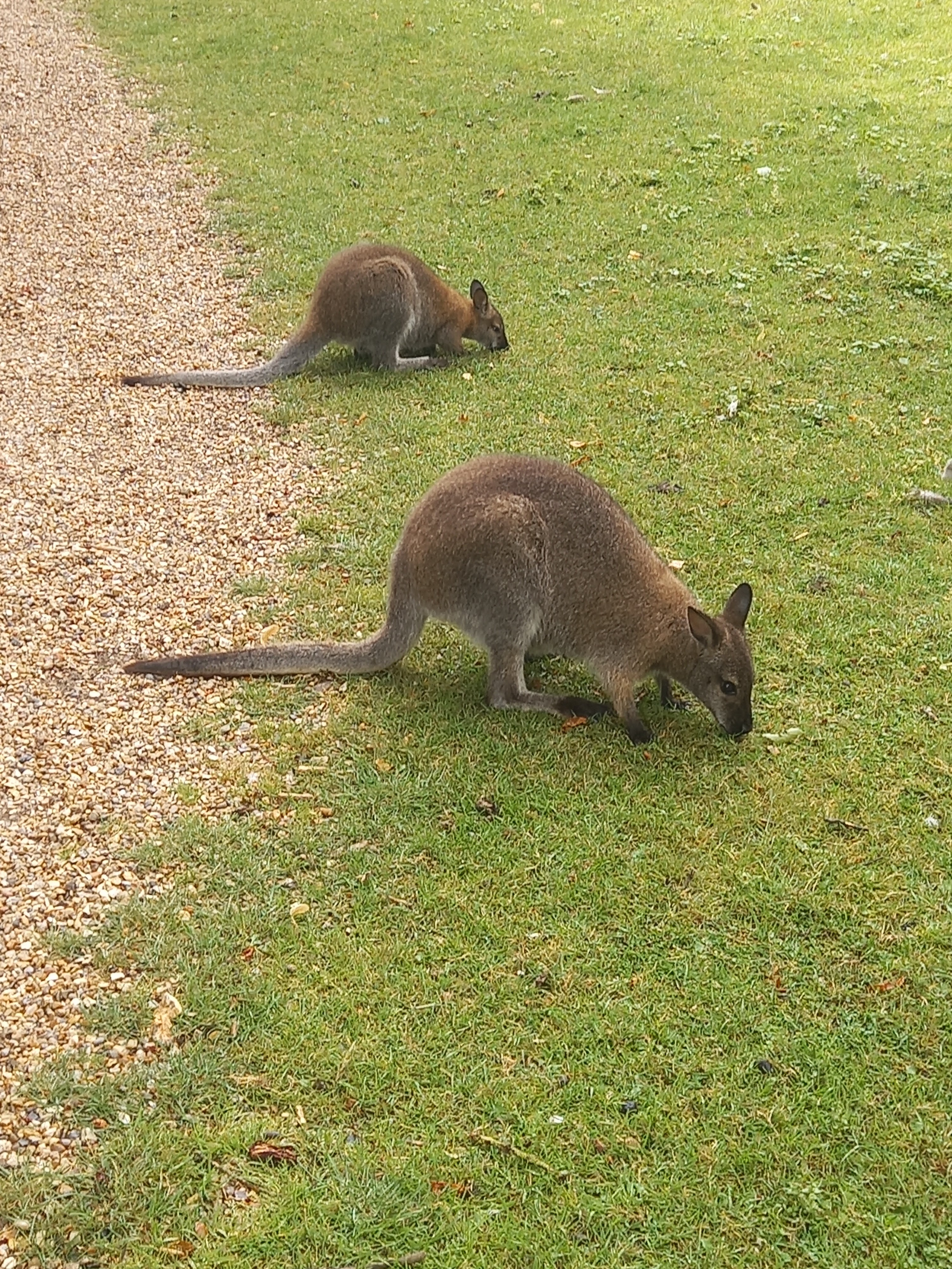 Photo n° 3 de l'avis de Ines.a fait le 20/07/2022 à 18:03