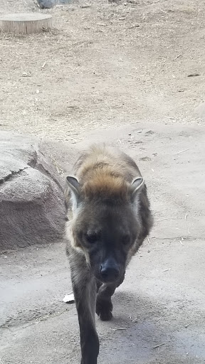 Museum «Tropical Discovery», reviews and photos, 2900 E 23rd Ave, Denver, CO 80205, USA