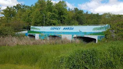 Osprey Marsh