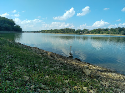Lac de Charmes à Bannes
