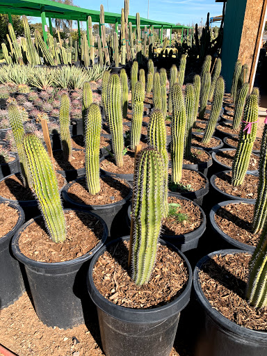 Gas Station «Circle K», reviews and photos, 12707 W Grand Ave, Surprise, AZ 85374, USA