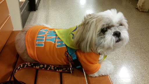 Pet Supply Store «PetSmart», reviews and photos, 4180 US-1, Monmouth Junction, NJ 08852, USA