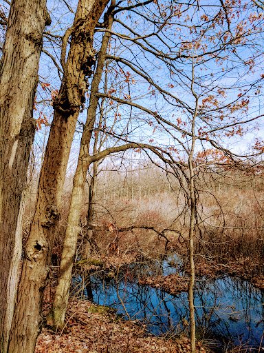 Nature Preserve «Tom S Cooperrider-Kent Bog State Nature Preserve», reviews and photos, 1028 Meloy Rd, Kent, OH 44240, USA