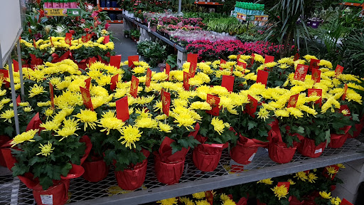 Home Improvement Store «The Home Depot», reviews and photos, 5800 Lincoln Ave, Cypress, CA 90630, USA