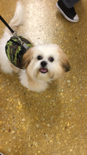 Pet Supply Store «PetSmart», reviews and photos, 7730 S Cicero Ave, Burbank, IL 60459, USA