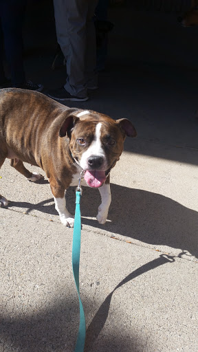 Pet Supply Store «PetSmart», reviews and photos, 1121 S Plaza Way, Flagstaff, AZ 86001, USA