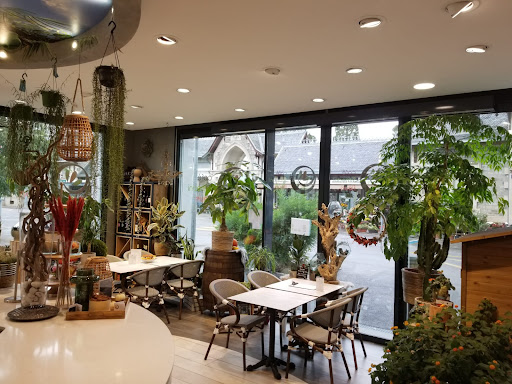 site_photo4
