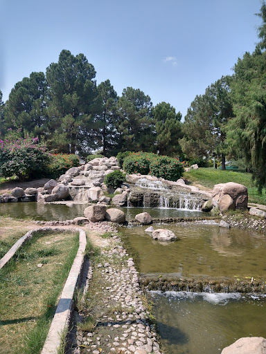 Parque para perros Torreón