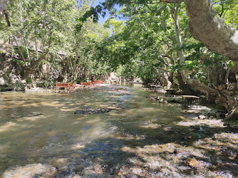 Çınaraltı Piknik Alanı