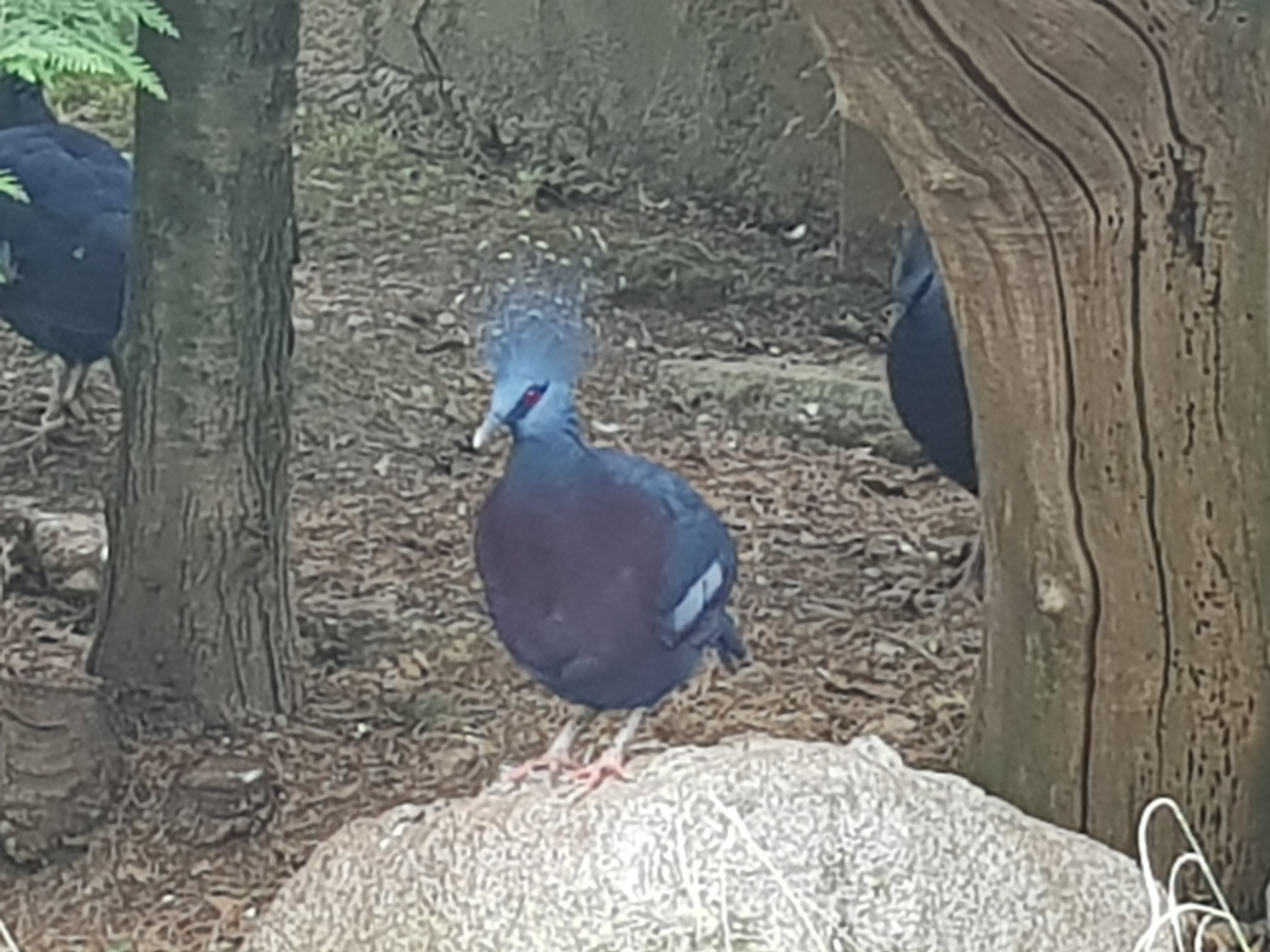 Photo n° 12 de l'avis de King.t fait le 15/09/2021 à 12:05