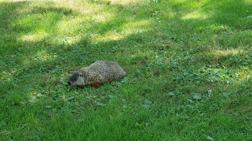 Golf Club «Paul Harney Golf Club», reviews and photos, 74 Club Valley Dr, East Falmouth, MA 02536, USA