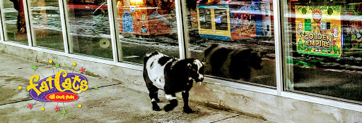 Bowling Alley «Fat Cats Salt Lake City», reviews and photos, 3739 South 900 East, Salt Lake City, UT 84106, USA