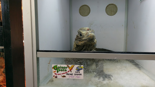 Pet Store «Gaiser Pets», reviews and photos, 714 Plumas St, Yuba City, CA 95991, USA