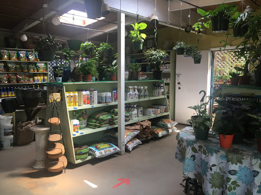 Plant Nursery «Bonita Nursery & Florists», reviews and photos, 3510 Santa Fe Ave, Long Beach, CA 90810, USA