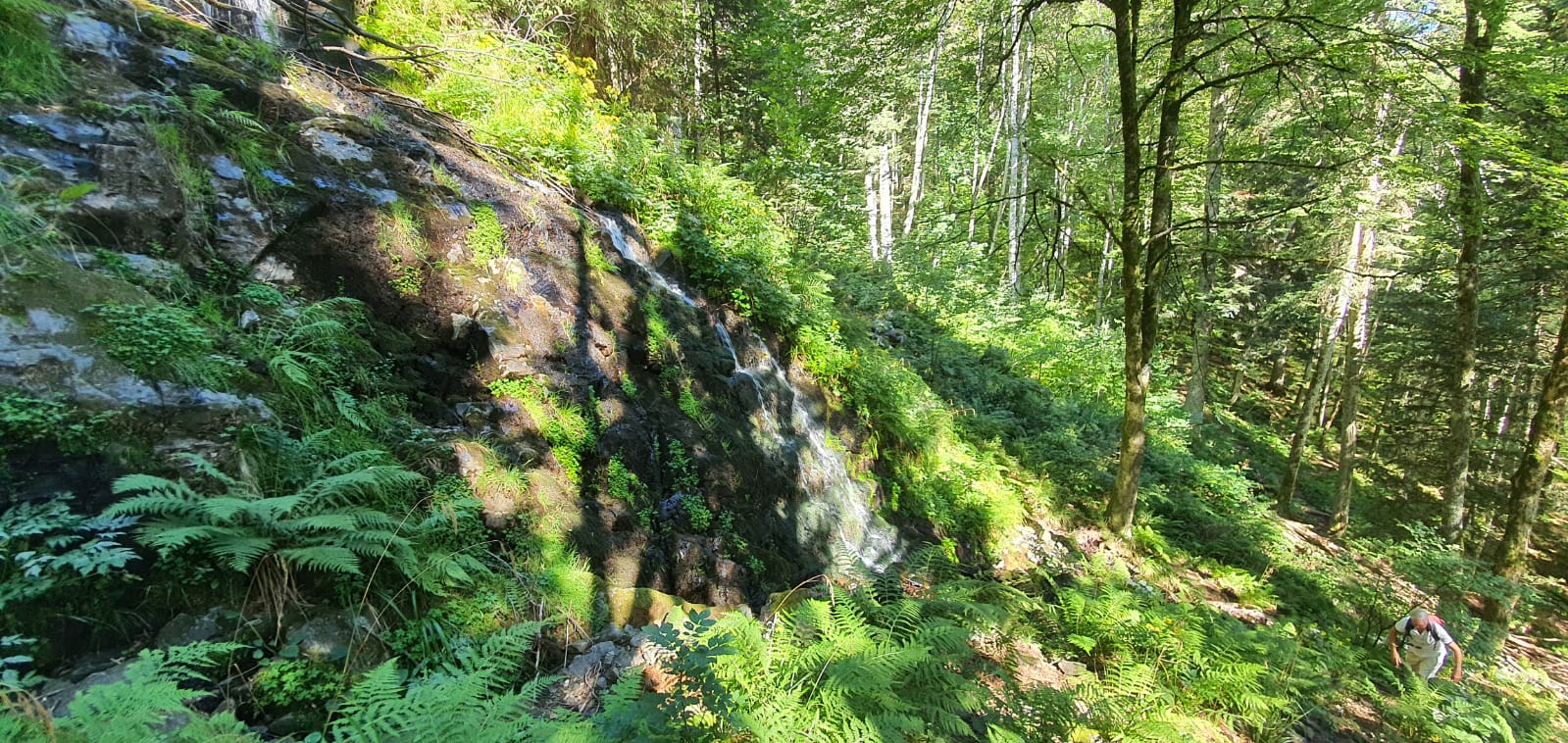 Photo n° 3 de l'avis de rené.c fait le 20/08/2020 à 16:51