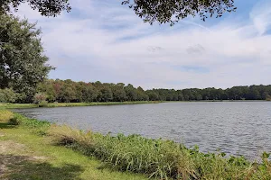 Lake Mayer image