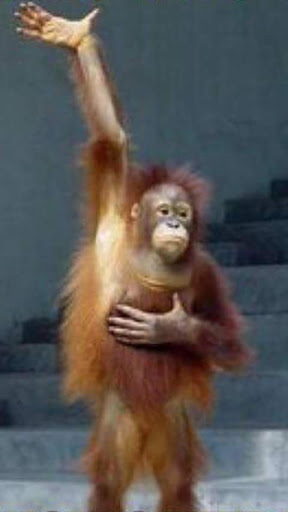 Pet Supply Store «Pet Club Rancho Cordova», reviews and photos, 2344 Sunrise Blvd, Rancho Cordova, CA 95670, USA