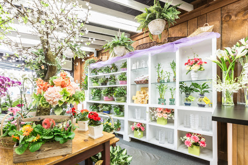 Florist «Blossom Flower Shops», reviews and photos, 275 Mamaroneck Ave, White Plains, NY 10605, USA