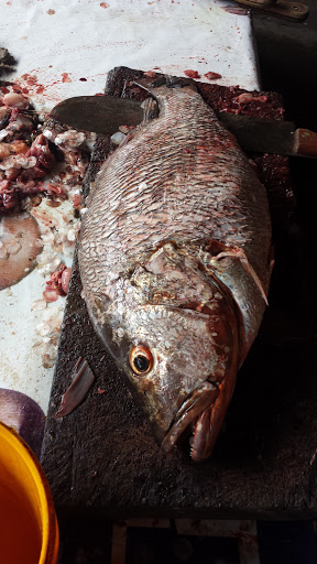 Ogbe-ijaw MARKET, Agbasa, Warri, Nigeria, Seafood Restaurant, state Delta