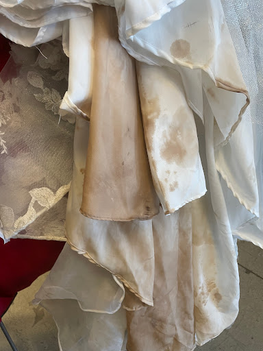 Dry Cleaner «Lapels Dry Cleaning Tampa», reviews and photos, 17503 Preserve Walk Ln, Tampa, FL 33647, USA