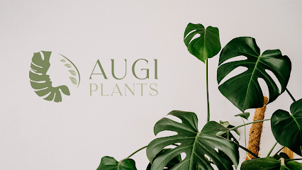 Augi - Plants