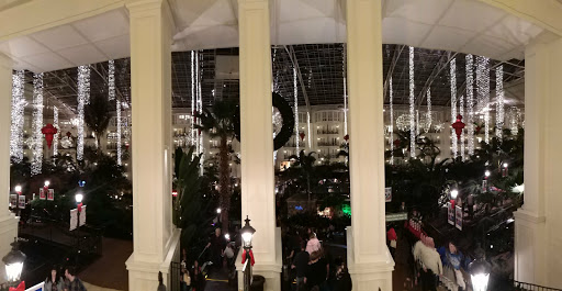 Hotel «Gaylord Opryland Resort & Convention Center», reviews and photos, 2800 Opryland Dr, Nashville, TN 37214, USA