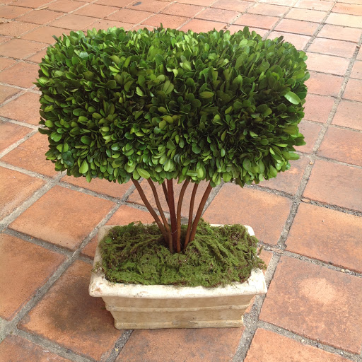 Gift Shop «French Peas Flower Shop», reviews and photos, 4601 Old Bullard Rd, Tyler, TX 75703, USA