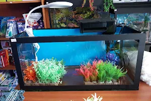 Prince Aquarium image