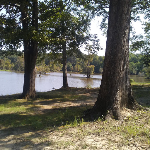 Park «Leake County Water Park», reviews and photos, 1190 Park Rd, Lena, MS 39094, USA
