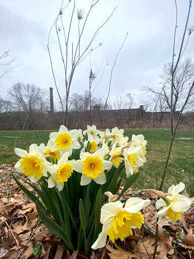 Park «Blackstone River State Park», reviews and photos, Lower River Rd, Lincoln, RI 02865, USA