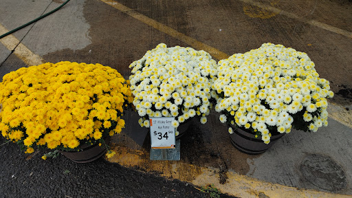 Home Improvement Store «The Home Depot», reviews and photos, 320 Bridgeton Pike, Mantua Township, NJ 08051, USA