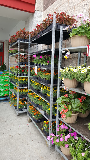 Warehouse club «BJ’s Wholesale Club», reviews and photos, 6000 Brush Hollow Rd, Westbury, NY 11590, USA