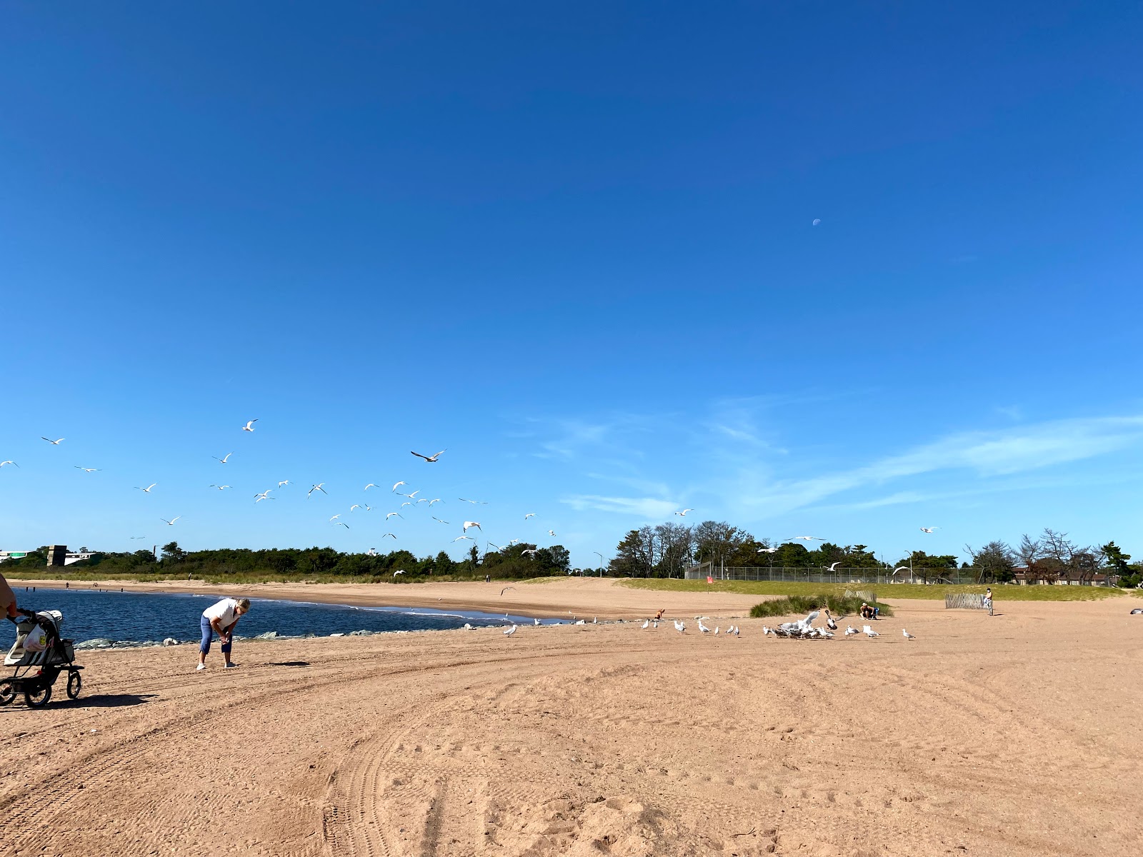 Foto av New Dorp Beach - bra husdjursvänlig plats för semester
