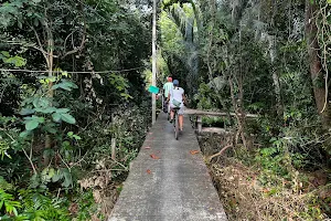 Bamboo Bicycle Tours Thailand image