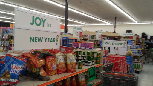 Discount Store «Big Lots», reviews and photos, 1998 FL-44, New Smyrna Beach, FL 32168, USA