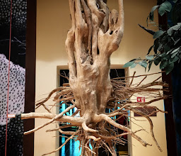 Museo del Café de Chiapas photo