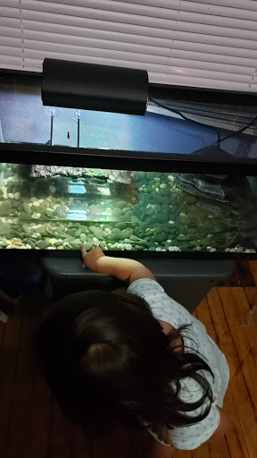 Pet Supply Store «Petco Animal Supplies», reviews and photos, 10235 Indianapolis Blvd, Highland, IN 46322, USA