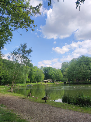 Parc du Bois de l'Étang à Baillet-en-France