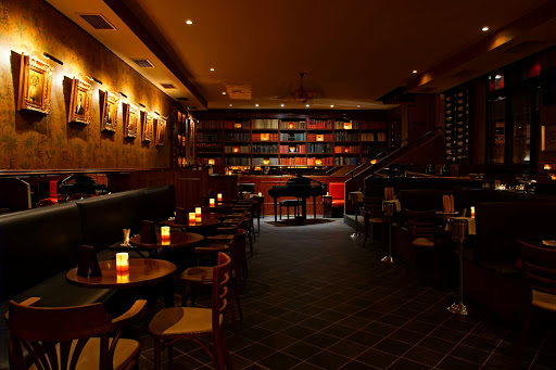 Manesova Bar and Books