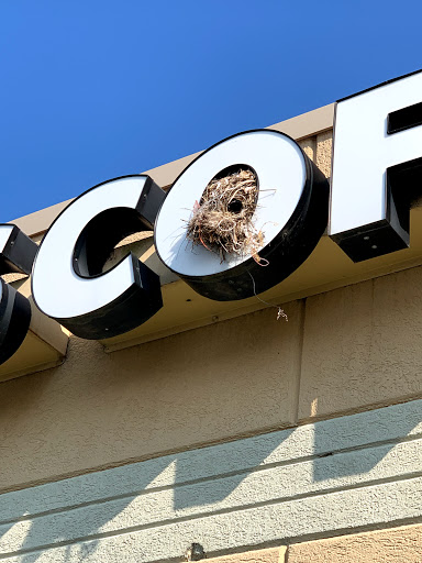 Coffee Shop «Starbucks», reviews and photos, 1700 Avenue of Mid-America, Effingham, IL 62401, USA