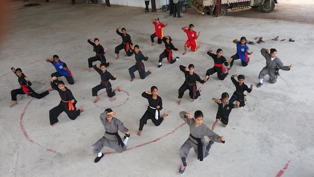 Indian Kung-fu wu-shu Academy